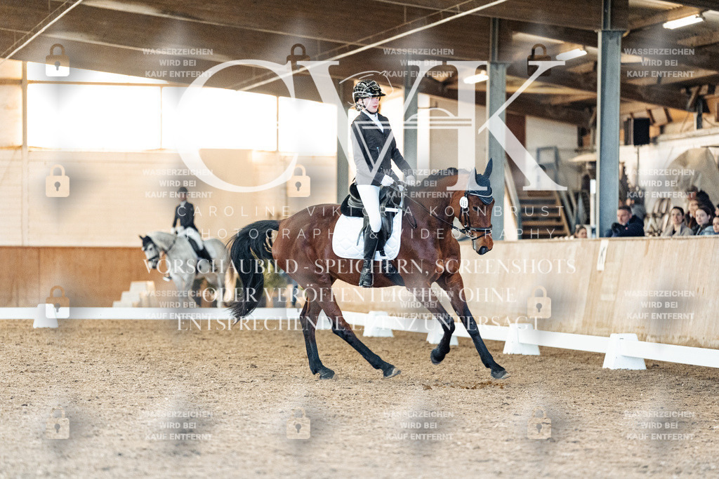 CK907661 | Turnierfotografie Pferdefotografie Trier Rheinland-Pfalz Pferdesport Reitsport Tierfotografie Sportfotografie Pferdevideo Pferdevideografie Equestrianvideography equestrianphotography  - Realisiert mit Pictrs.com