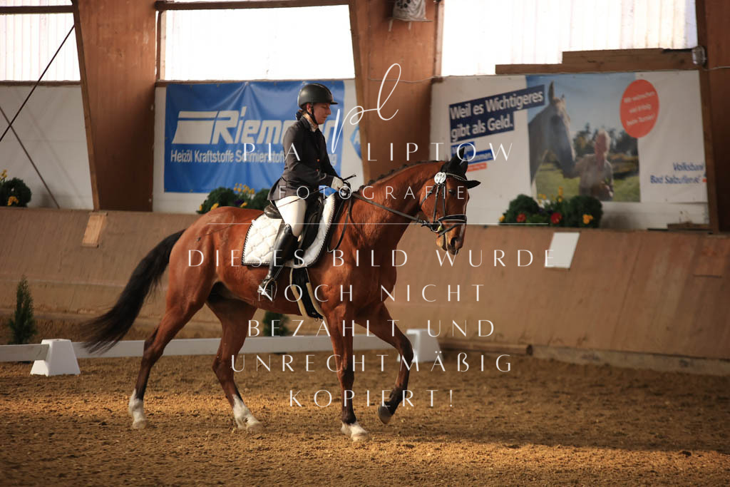 IMGT7609 | pl-fotografie