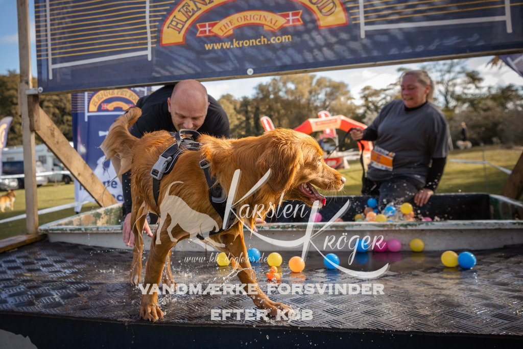 1301_ZZ98759-2 | kk-dogfotos