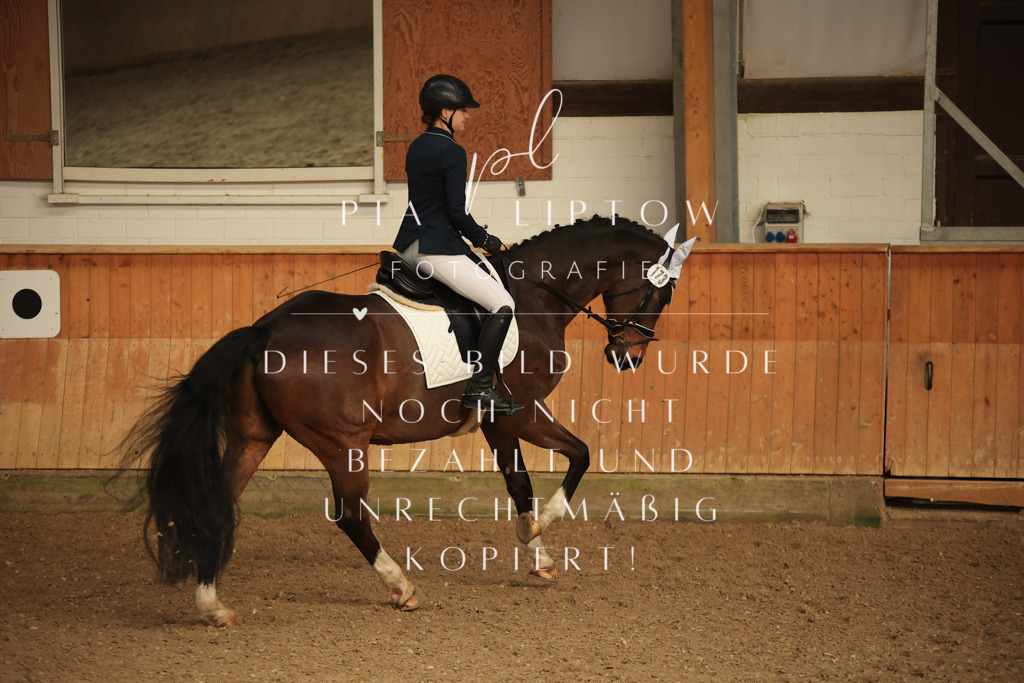 IMGT4741 | pl-fotografie