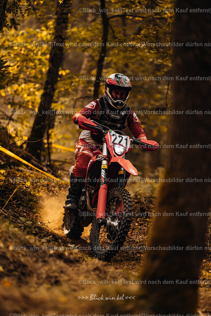 E68A3988 | blick_win_kel