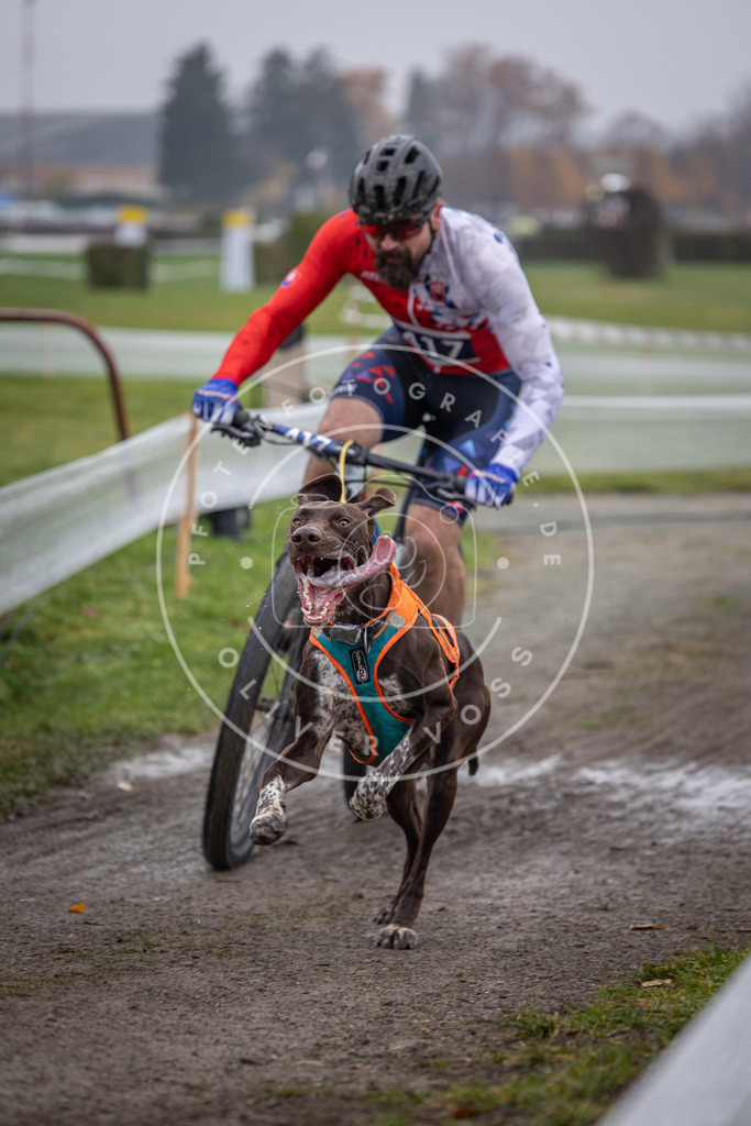 CaniXpix_0L8A1314 | Hundefotografie, Tierfotograf, Pfotenfotografie, Fotoshooting Hund, Hunde Portrait, Hundesport, Hundeportraits, Heideshooting, Hunde, Sportfotograf, Hundefotograf, Turnierhundsport, THS,  - Realisiert mit Pictrs.com