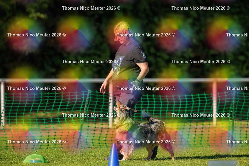 Thomas_Nico_Meuter(C)_04. Oktober 2026_223A3910 | Bild von Thomas Nico Meuter - Realisiert mit Pictrs.com