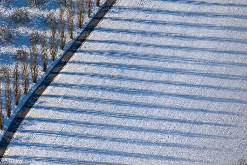 4043115 | winterliche Baumstrukturen beim Weingut Benz bei Beckstein