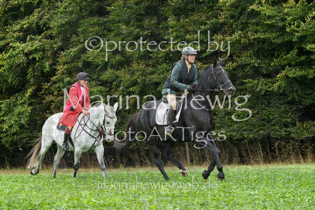 Jagd Perdoel_MarinaHewigMCH04002 | Fotografie, FotoArt, PferdesportArt, Pferdesportfotografie, Landschaftsfotografie, Reisefotografie, Reise, Pferde - Realisiert mit Pictrs.com