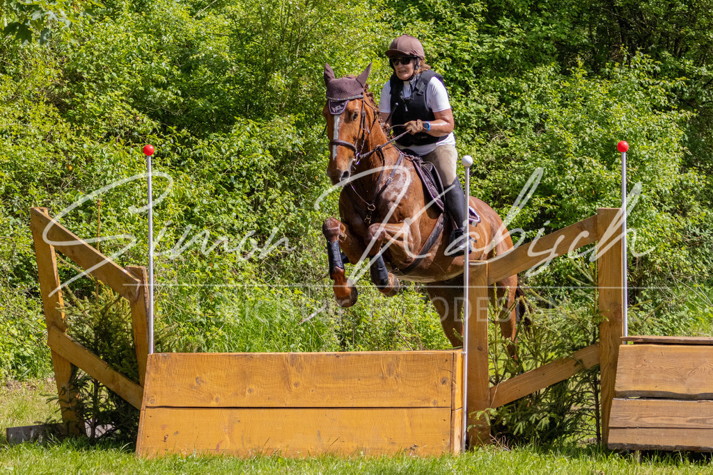 MBFotografie (70) | Tierfotografie Pferde, Hunde, Katzen, Haustiere.
Turnierfotografie Reitturniere, Reiten, Springreiten, Dressur in Hanau, dem Main-Kinzig-Kreis und dem Rhein-Main- Gebiet um Frankfurt