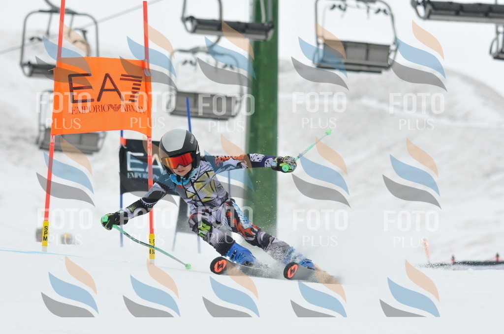 DSC_8735 | holidayphoto