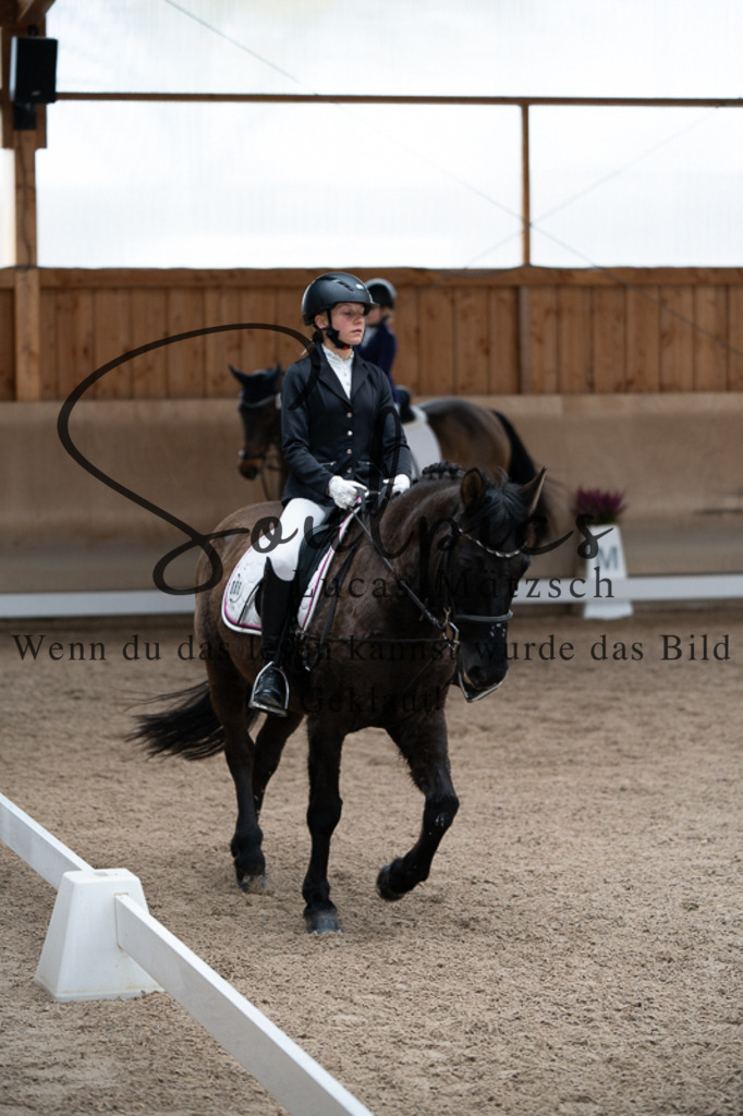 A7V02716 | Pferdefotograf