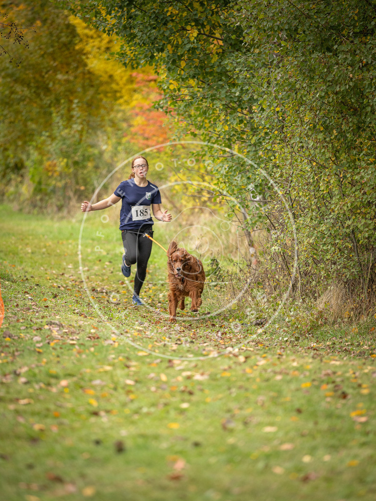 Pfotenfotografie_DV3A3726 | Hundefotografie, Tierfotograf, Pfotenfotografie, Fotoshooting Hund, Hunde Portrait, Hundesport, Hundeportraits, Heideshooting, Hunde, Sportfotograf, Hundefotograf, Turnierhundsport, THS,  - Realisiert mit Pictrs.com