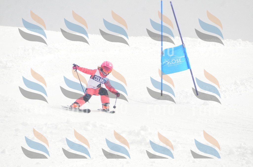 A5009 | holidayphoto