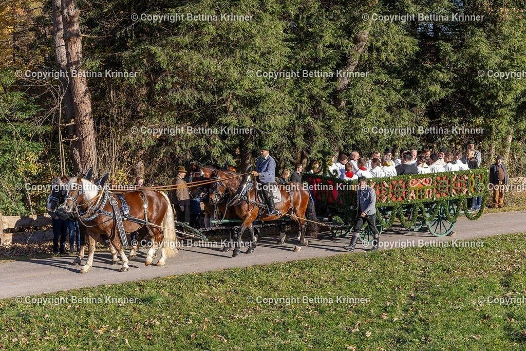 LBT25-25 | foto-bettina-krinner - Realisiert mit Pictrs.com