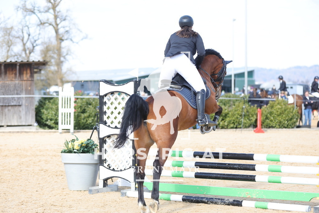 0P6A7017 | Willkommen bei Brunnmayr - Design & Fotografie – Ihrem Spezialisten für Reitturniere und Pferdeveranstaltungen in Oberösterreich, Salzburg und Bayern! Seit über 17 Jahren sind wir leidenschaftlich dabei.