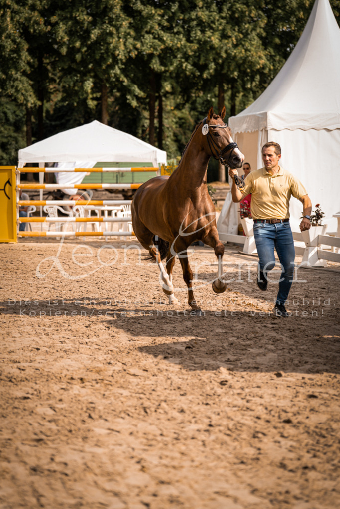 FrER00135 | Leoni Ertmer Photography - Realisiert mit Pictrs.com