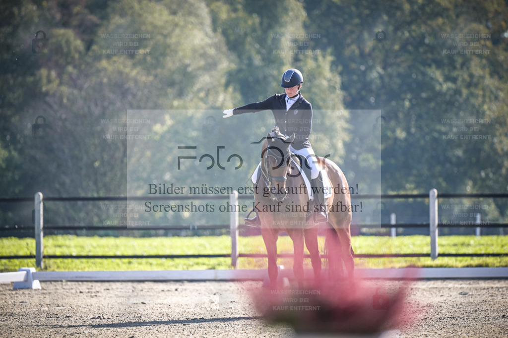 DOS_0210 | Entdecke hochwertige Reitturnierfotos von Foto Oger. Professionell, emotional und authentisch – jetzt Lieblingsmomente im Shop bestellen. - Realisiert mit Pictrs.com