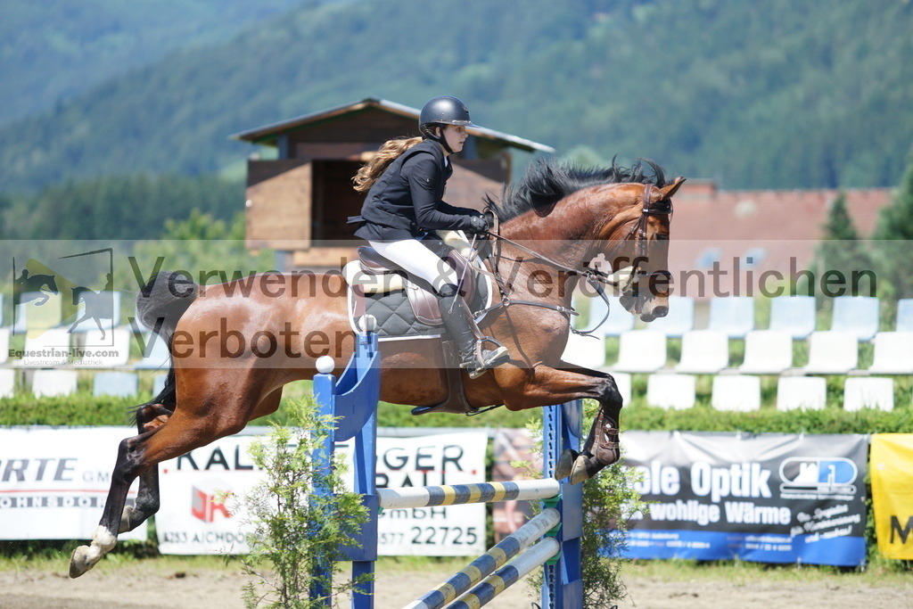 DSC06066 | equestrian-live-com