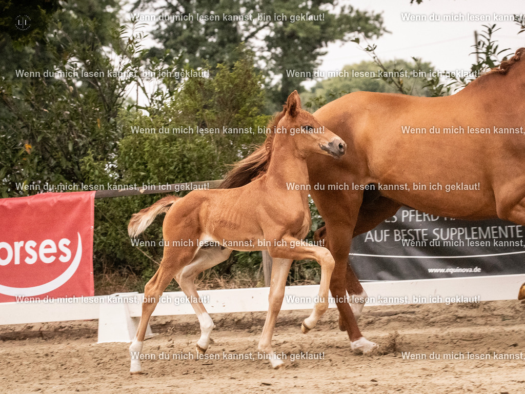 A10I4854 | photographylinaismer - Realisiert mit Pictrs.com