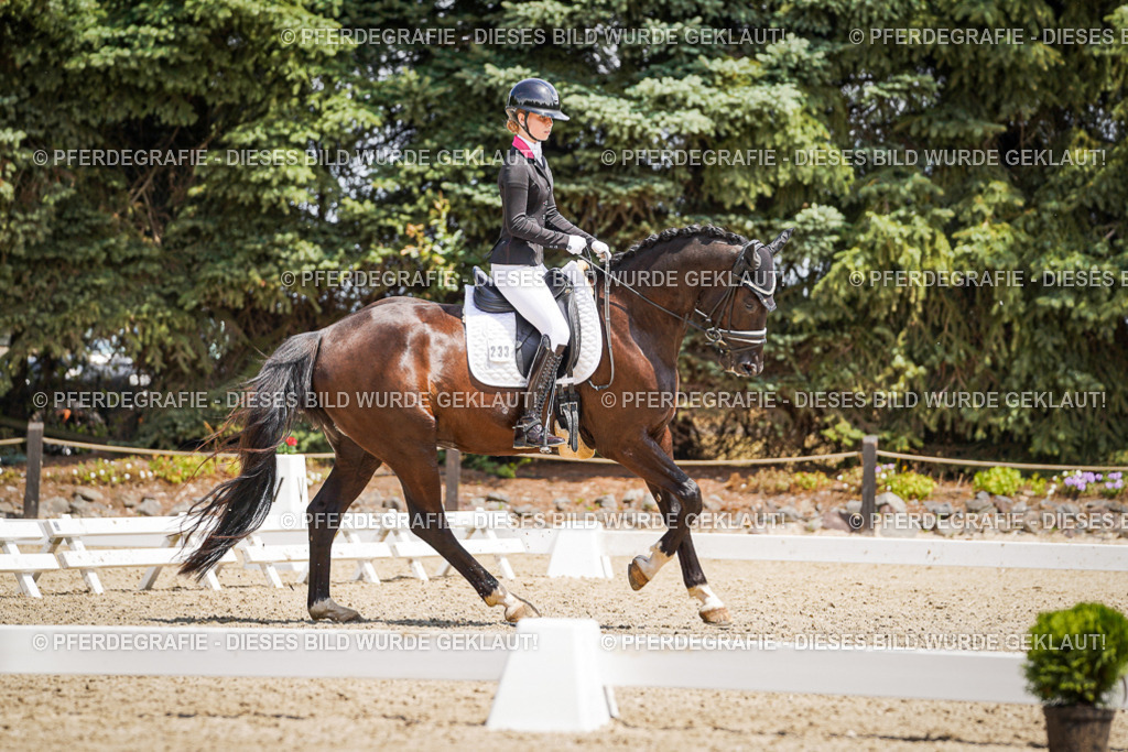 DSC01636 | Pferdegrafie