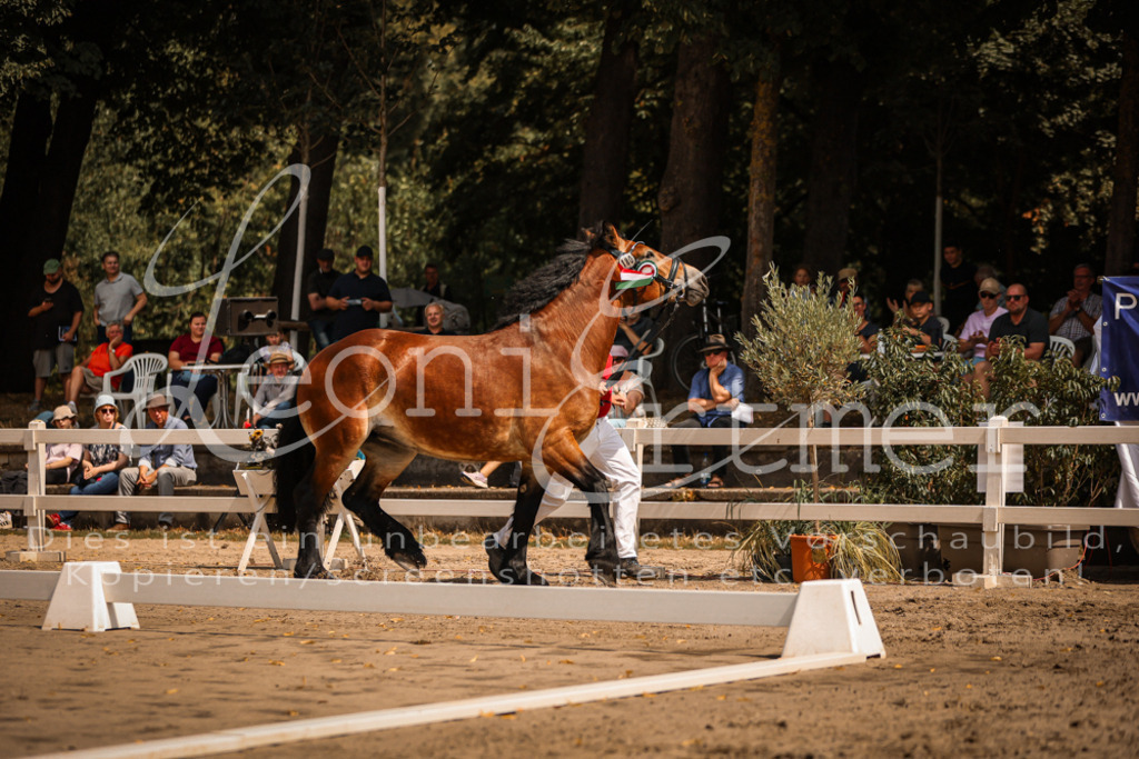 1.Sa00064 | Leoni Ertmer Photography - Realisiert mit Pictrs.com