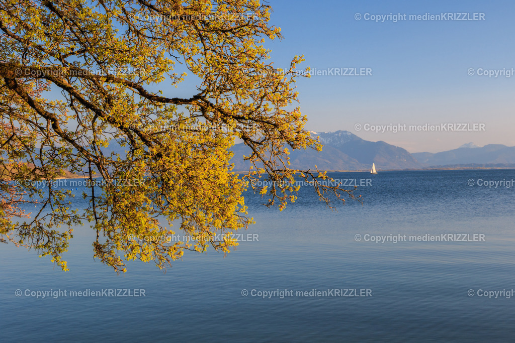 _07A7336 | Am Chiemsee - Realisiert mit Pictrs.com