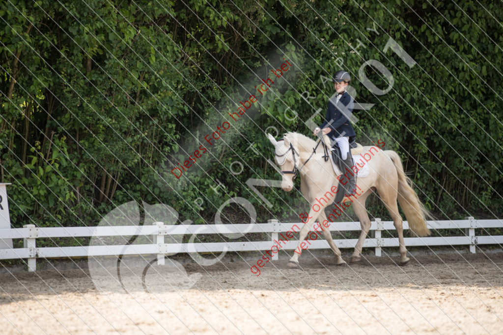 IMG_3765 | Sport-, Event- und Tierfotos in Profiqualität. Einfach auswählen, bestellen und herunterladen. Dein Moment – perfekt festgehalten.