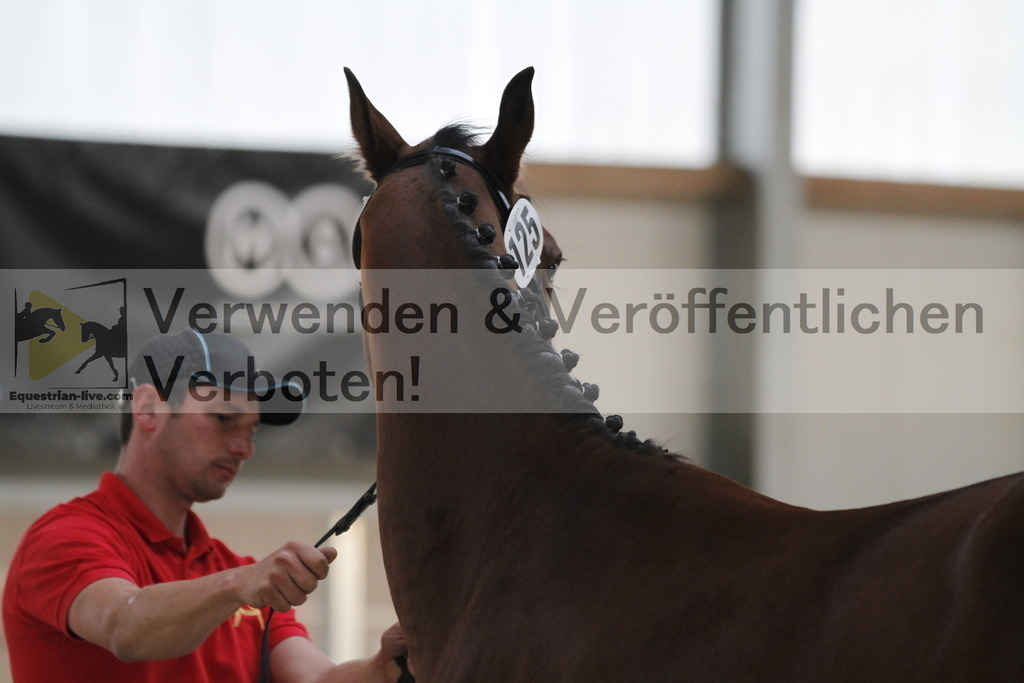 _MG_0612 | equestrian-live-com