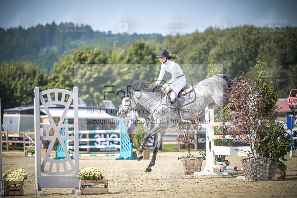 DOS_1652 | Entdecke hochwertige Reitturnierfotos von Foto Oger. Professionell, emotional und authentisch – jetzt Lieblingsmomente im Shop bestellen. - Realisiert mit Pictrs.com