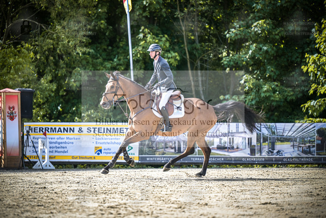 DOS_8603 | Entdecke hochwertige Reitturnierfotos von Foto Oger. Professionell, emotional und authentisch – jetzt Lieblingsmomente im Shop bestellen. - Realized with Pictrs.com