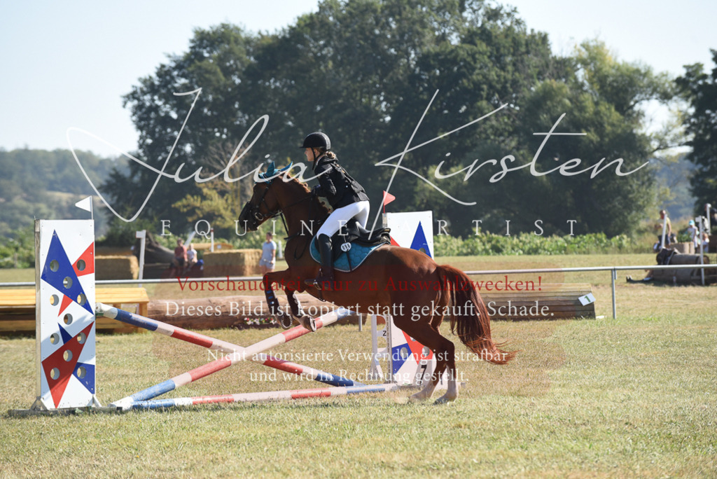 DSC_6061 | Pferde- und Turnierfotografie in Westsachsen. Pferdeportraits, Auftragszeichnungen und intuitive Kunst.