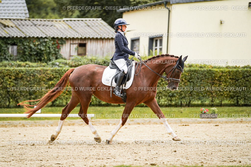 DSC06889 | Pferdegrafie