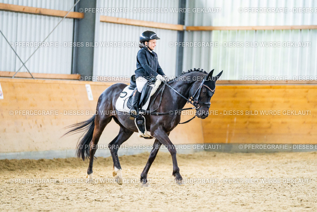 DSC04725 | Pferdegrafie