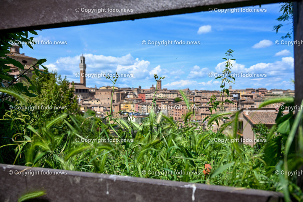 Italien_ Toscana_ Siena_ 27.05.2024-97 | 27.05.2024, Italien, ITA, Toskana, Siena im Bild Stadtansichten, Gebäude, Architektur, Touristen, Historisch, Souvenier, Piazza Del Campo, Dom von Siena


Siena ist Hauptstadt der Provinz Siena und gilt als eine der schönsten Städte der Toskana und Italiens. Die historische Altstadt gehört seit 1995 zum UNESCO-Welterbe. 

