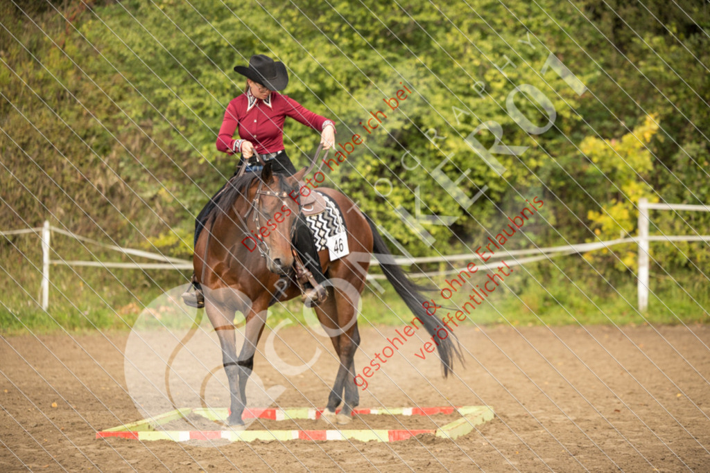 CON_9052 | Sport-, Event- und Tierfotos in Profiqualität. Einfach auswählen, bestellen und herunterladen. Dein Moment – perfekt festgehalten.