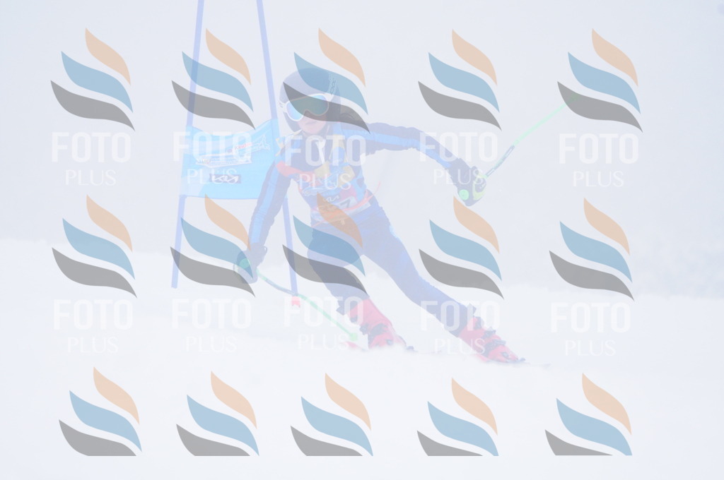 C3607 | holidayphoto