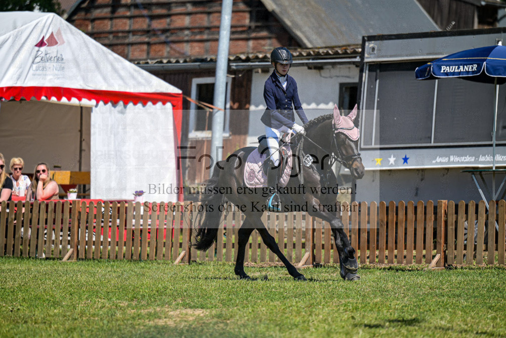 Reitturnier Voxtrup | Entdecke hochwertige Reitturnierfotos von Foto Oger. Professionell, emotional und authentisch – jetzt Lieblingsmomente im Shop bestellen.Deutschlandweite Turnierfotografie. - Realisiert mit Pictrs.com