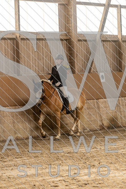 2L2A0526 | stallwerkstudio - Realisiert mit Pictrs.com