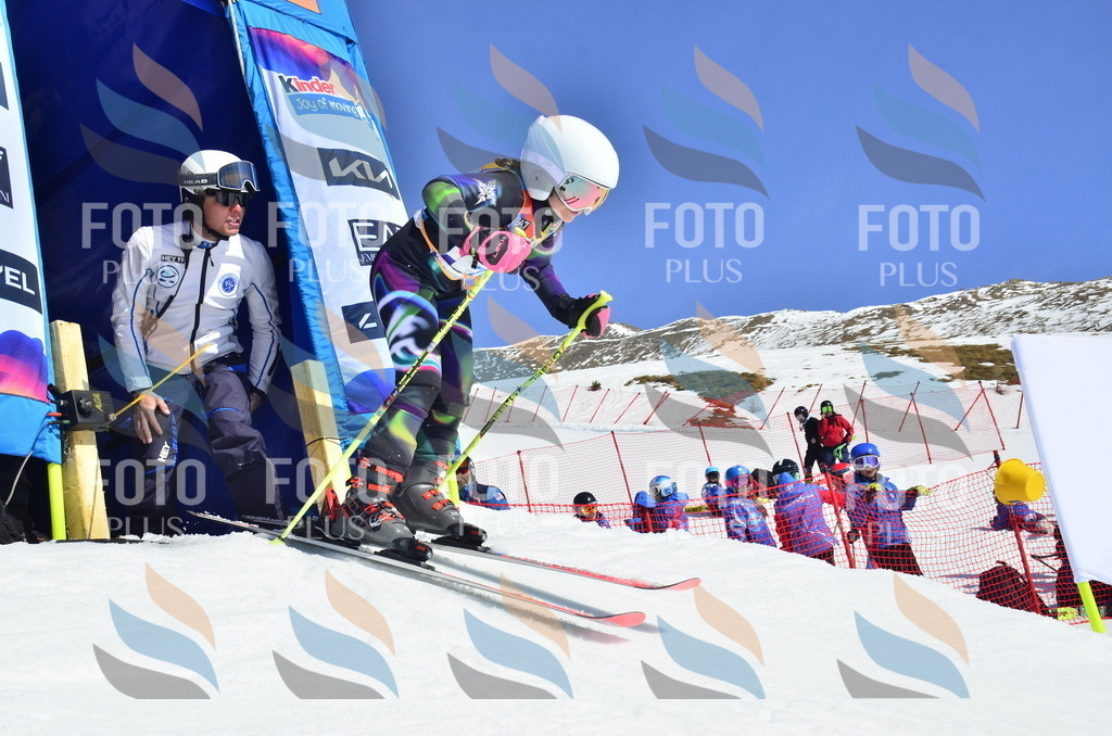 _ELE0323 | holidayphoto