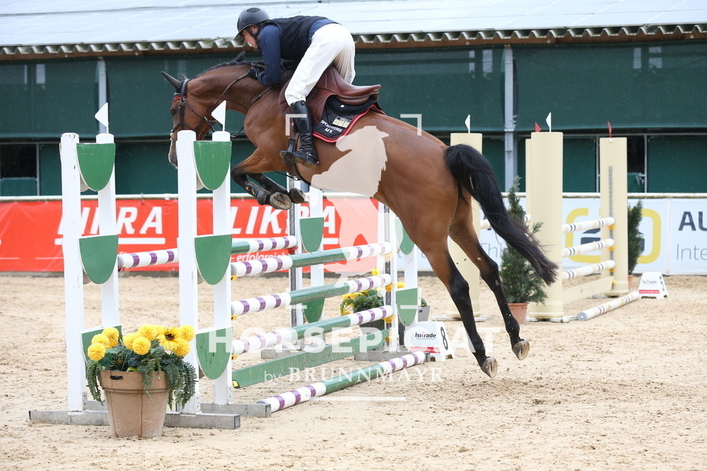 DL2Q6450 | Willkommen bei Brunnmayr - Design & Fotografie – Ihrem Spezialisten für Reitturniere und Pferdeveranstaltungen in Oberösterreich, Salzburg und Bayern! Seit über 17 Jahren sind wir leidenschaftlich dabei.