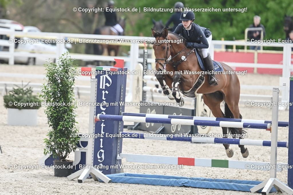 20230514_CCI2_Section1_Springen_0064 | equistock