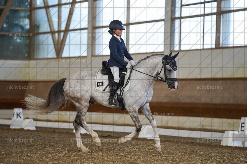 20240824-FAH07224 | Thierhaupten 2024, Bayerisches Landesponyturnier, Turnierbilder, Ponybilder, Turnierfotografen Bayern, Fotoagentur Herrmann