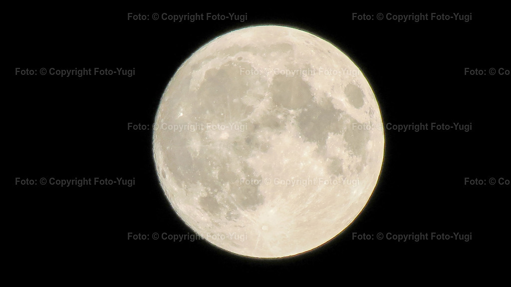 foto_yugi_0010 | Ansichten aus Würzburg sind Sehenswürdigkeiten die vom Herrn Ugur Yurdagül (foto-yugi) fotografiert und bearbeitet wurden.
Die Bilder wurden dem Komposition entsprechend bearbeitet und können als Print- oder Onlinemedien verwendet werden.