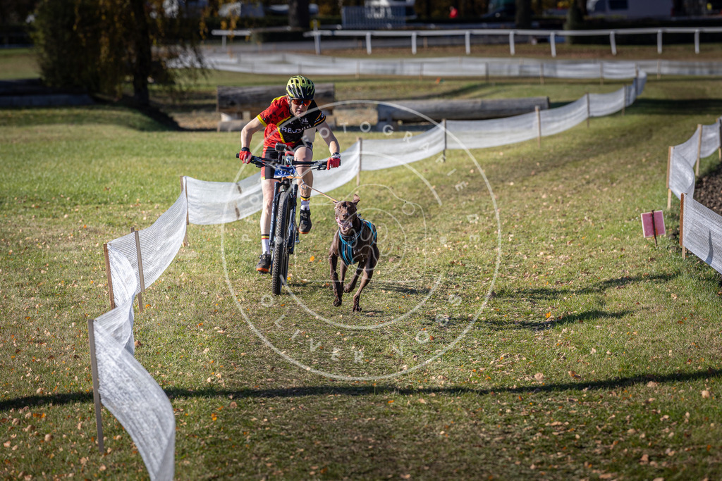 CaniXpix_DV3A6385 | Hundefotografie, Tierfotograf, Pfotenfotografie, Fotoshooting Hund, Hunde Portrait, Hundesport, Hundeportraits, Heideshooting, Hunde, Sportfotograf, Hundefotograf, Turnierhundsport, THS,  - Realisiert mit Pictrs.com