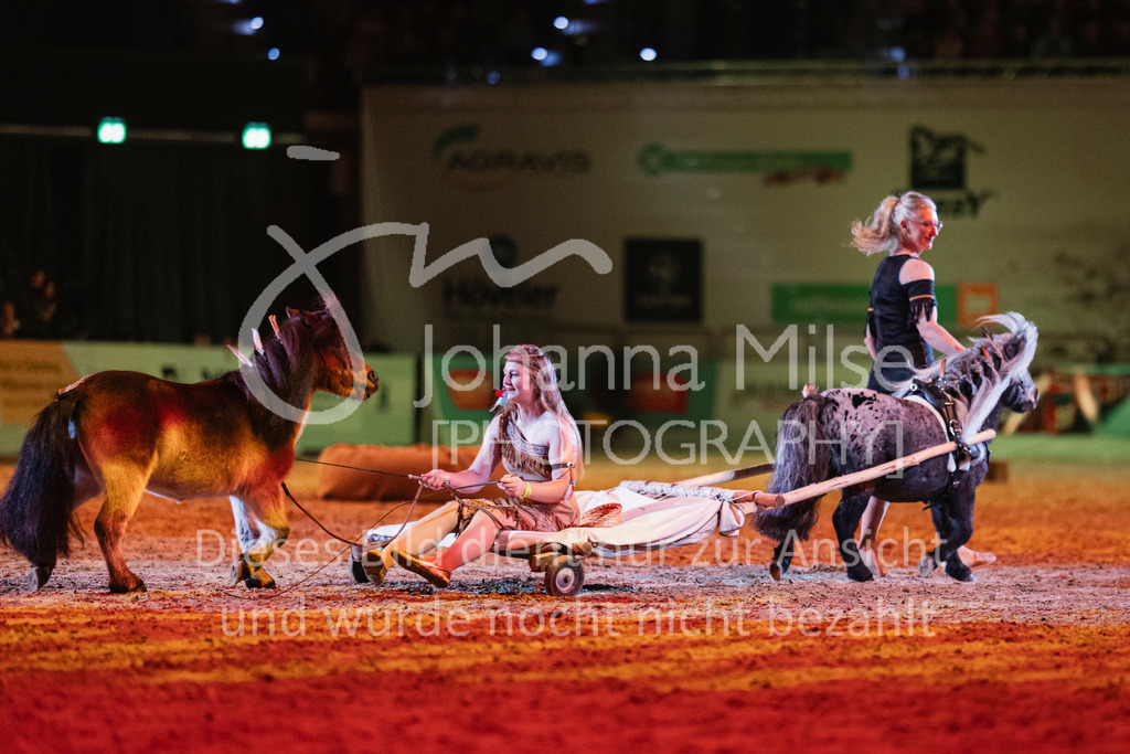241102_Oldenburg_Show-317 | Deine schönsten Turniermomente als professionelle Fotos! Entdecke hochwertige Pferdesport-Fotografie im Online-Shop. Jetzt Fotos finden & bestellen!