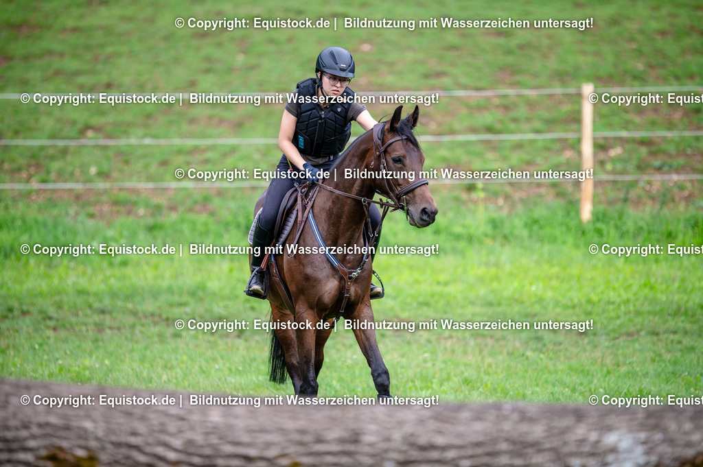 20250725_Vielseitigkeitslehrgang-Marbach_0537 | Foto: Thomas Hartig