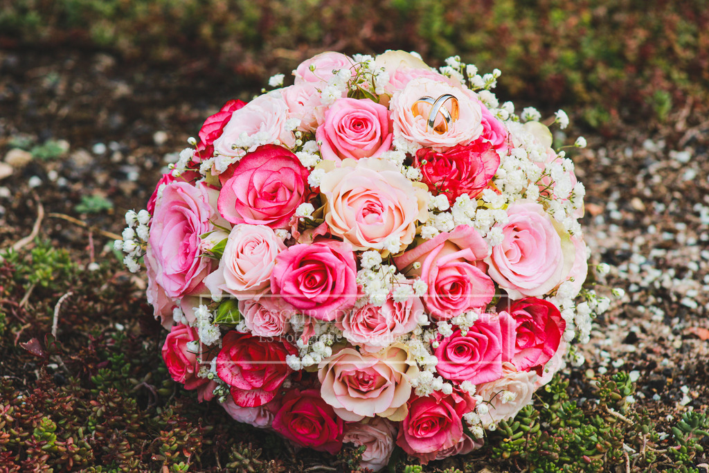 Hochzeit Danica _ Jan 26.08.22-38 | lanaschraderfotografie - Realisiert mit Pictrs.com