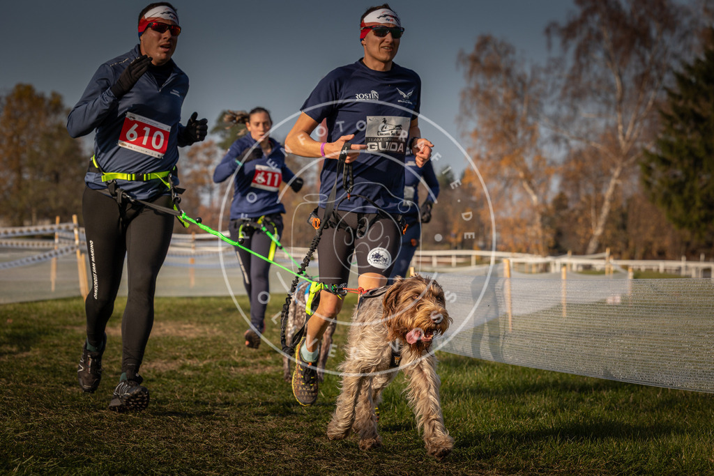 CaniXpix_0L8A0163 | Hundefotografie, Tierfotograf, Pfotenfotografie, Fotoshooting Hund, Hunde Portrait, Hundesport, Hundeportraits, Heideshooting, Hunde, Sportfotograf, Hundefotograf, Turnierhundsport, THS,  - Realisiert mit Pictrs.com