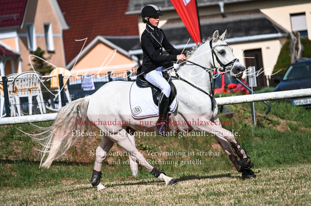 DSC_7716 | Pferde- und Turnierfotografie in Westsachsen. Pferdeportraits, Auftragszeichnungen und intuitive Kunst.