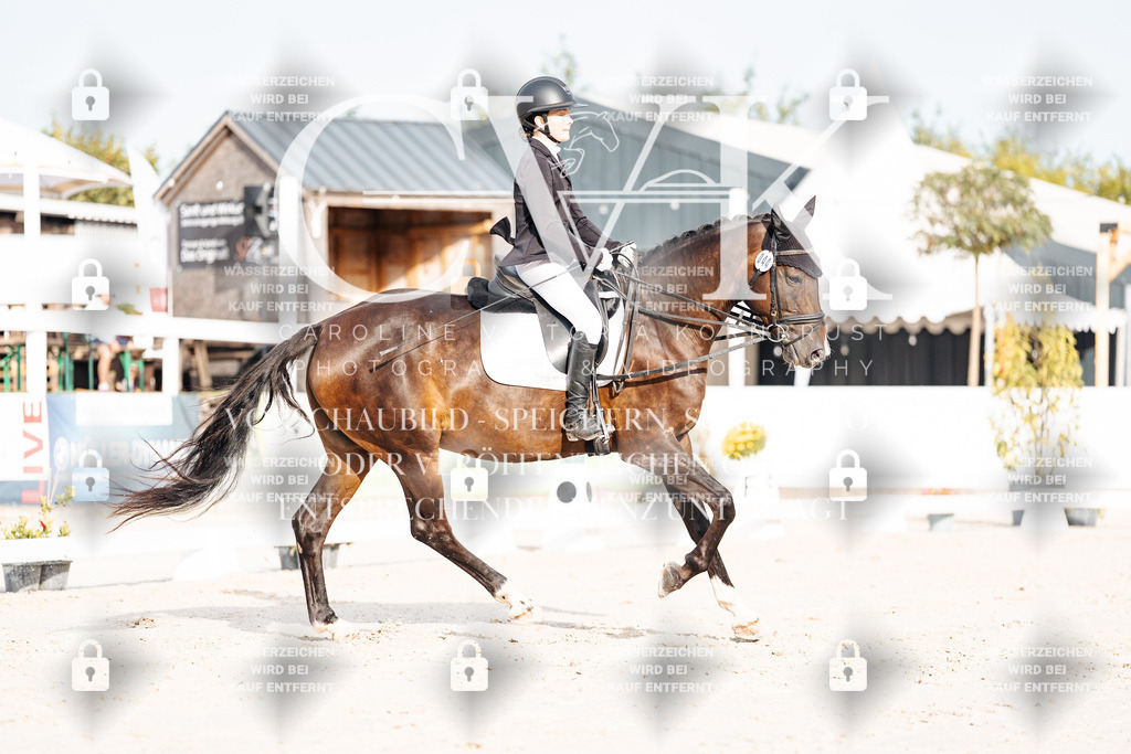CK903951 | Turnierfotografie Pferdefotografie Trier Rheinland-Pfalz Pferdesport Reitsport Tierfotografie Sportfotografie Pferdevideo Pferdevideografie Equestrianvideography equestrianphotography  - Realisiert mit Pictrs.com