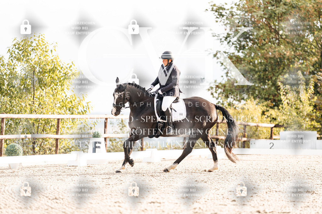 CK900338 | Turnierfotografie Pferdefotografie Trier Rheinland-Pfalz Pferdesport Reitsport Tierfotografie Sportfotografie Pferdevideo Pferdevideografie Equestrianvideography equestrianphotography  - Realisiert mit Pictrs.com