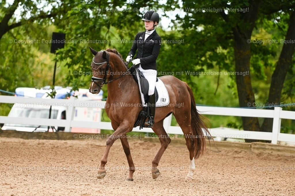 20230715_07_Dressurpferdeprfg. Kl.L_0042 | equistock