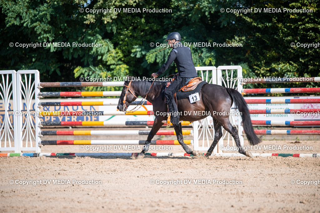 ZS1_0768 | dv-media-shop - Realisiert mit Pictrs.com